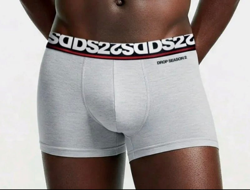 Boxer DS2